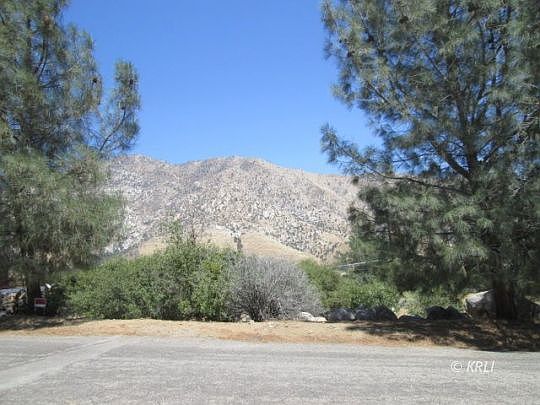 4th image of Pine Dr