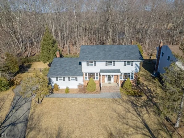 10 Larkspur Dr, Parsippany-Troy Hills Twp., NJ 07054