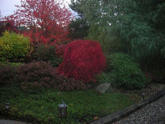 Front Landscaping