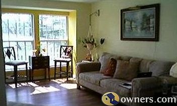 Living room afternoon sunshine