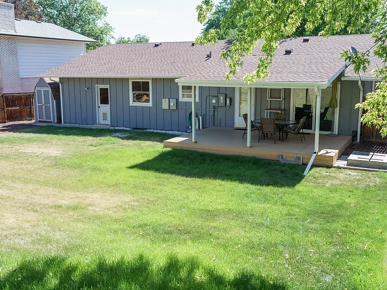 back yard