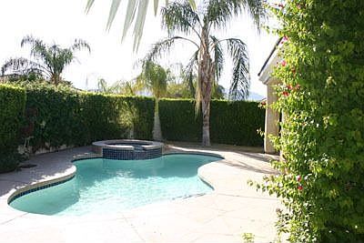 Sunny southern exposure in backyard