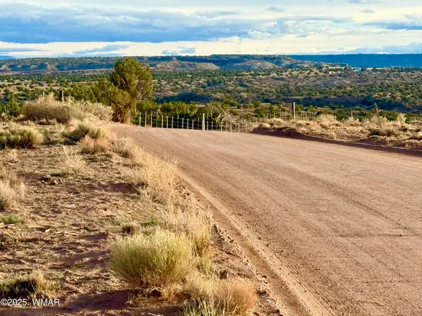 480 County Road N6400 St, Saint Johns, AZ 85936