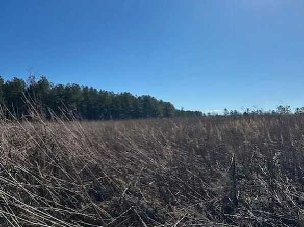 3 50th Ave Tract 3, Gruetli Laager, TN 37339