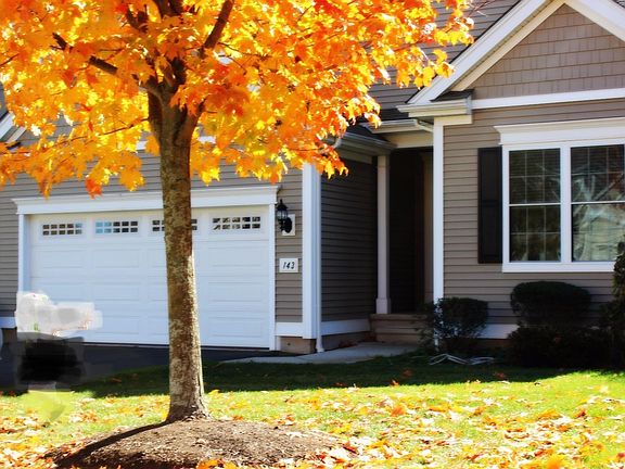 Enjoy the maple tree beauty in the front yard
