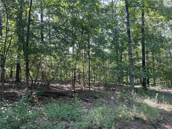 0 Northwood Lake Rd, Wappapello, MO 63966