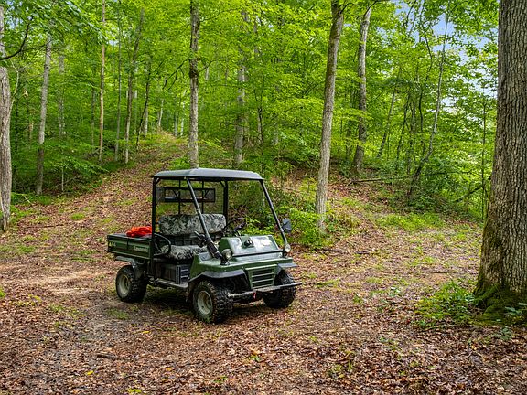 72nd image of this home