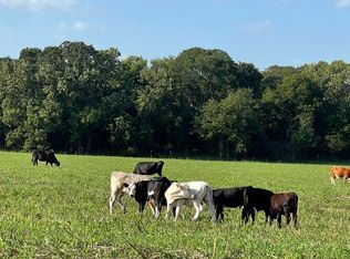 764 County Road 3422, Bynum, TX 76631