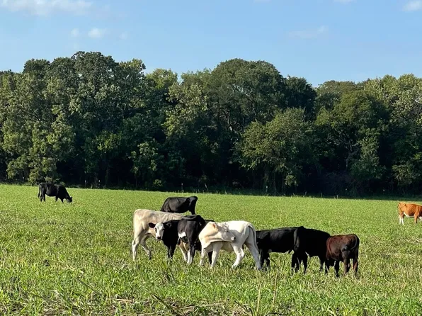 764 County Road 3422, Bynum, TX 76631