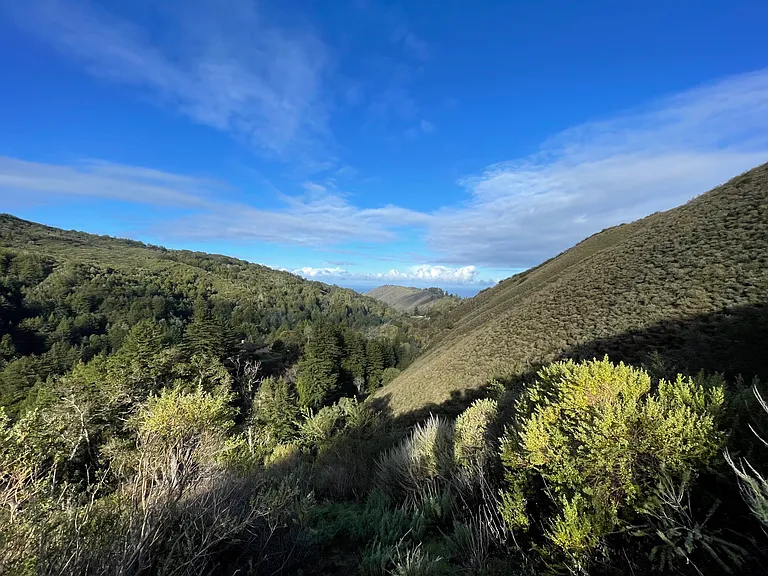 Palo Colorado Rd — Photo 33