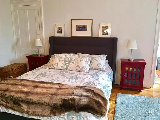 Rented by NY Living Solutions | media 6