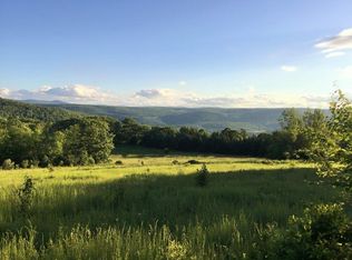 325 Thorington Rd, Middleburgh, NY 12122