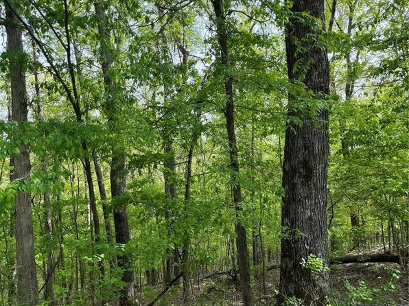 0 Wayne Rte N #453, Piedmont, MO 63957