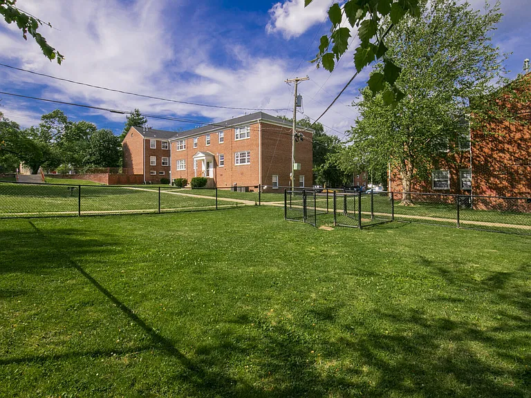 Expansive Dog Park