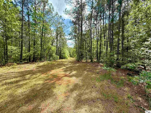 130 Doyston Ln, Simsboro, LA 71275