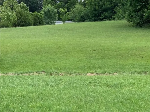 LOT 47 Blockade Vlg, Seligman, MO 65745