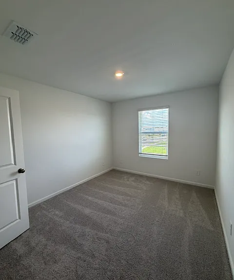 4389 Vibernum Ave — Photo 22
