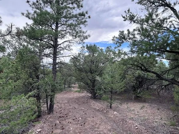 LOT 61 Upper Pinabete Rd, Questa, NM 87556