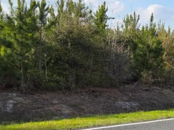 731 Near Macedonia Church Rd Lot 2, Evergreen, NC 28438