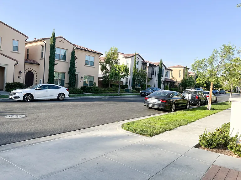 58 Quill — Photo 3