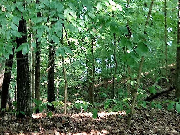 5th image of 27 Woods Ridge Rd
