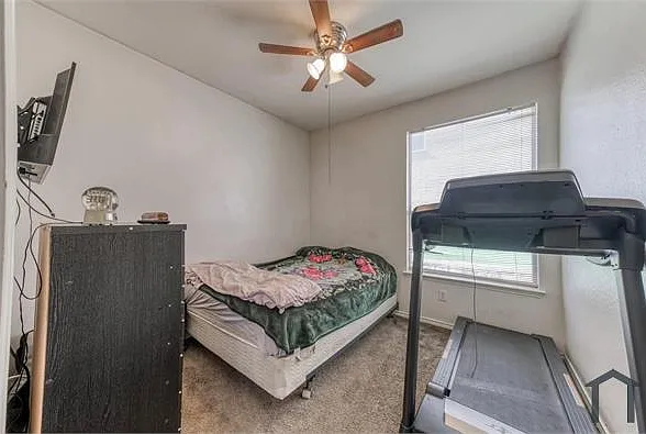 4917 Lodgepole Ln — Photo 11