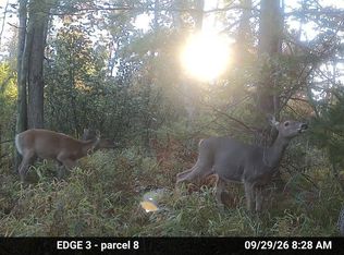 V/l Down To Earth Way Parcel 8, Prescott, MI 48756