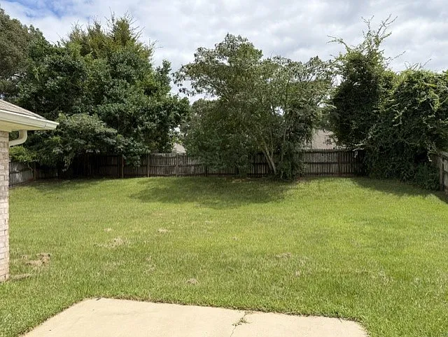 Back yard
