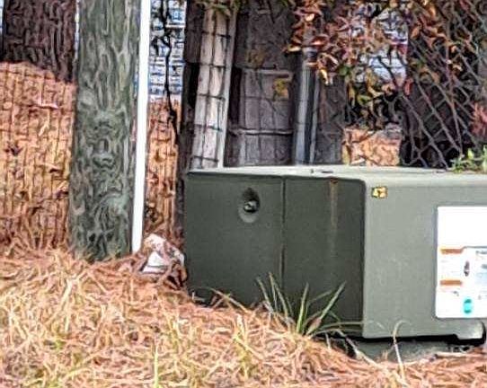 3rd image of 6316 Aladdin Dr
