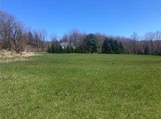 0 Dunk Hill Rd, Walton, NY 13856