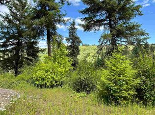 Long Bluff Rd, Kooskia, ID 83539