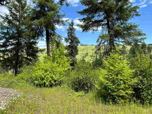 Long Bluff Rd, Kooskia, ID 83539