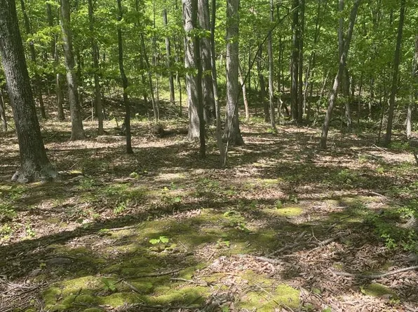 0 Rice Rd, Hancock, MD 21750