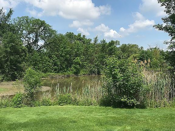 5th image of 48467 American Elm Dr