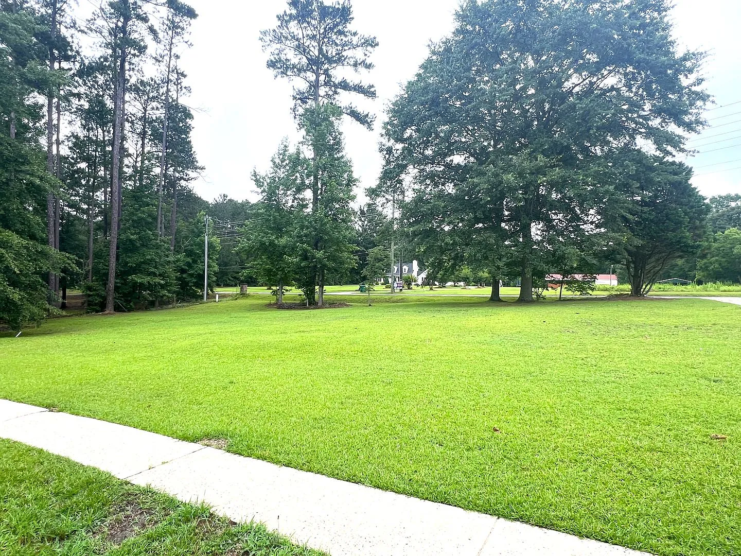 Country Living in Kathleen!! — Photo 4