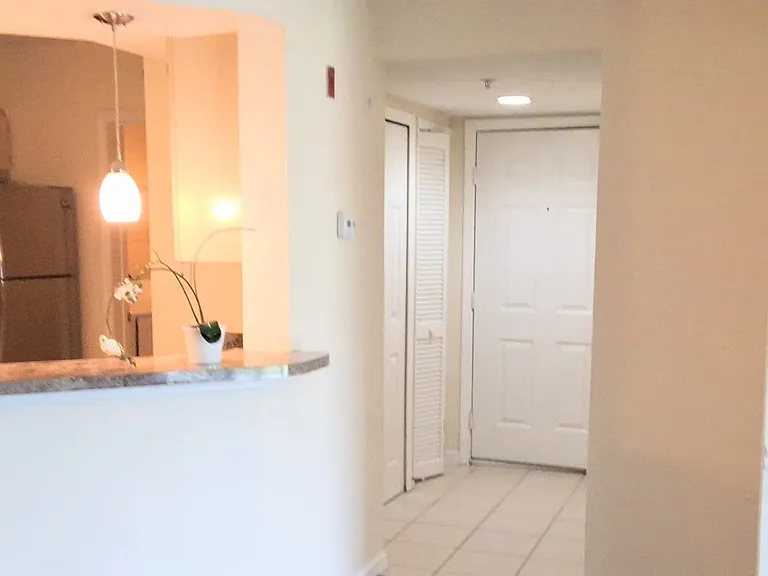 12500 Crest Springs Ln #1031 — Photo 8
