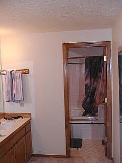 Master bath sinks