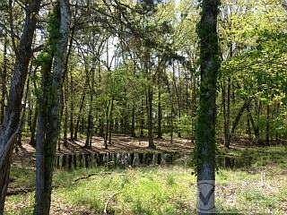 2nd image of 0 Phifer Rd