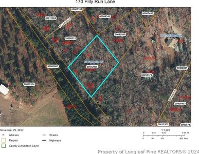 170 Filly Run Ln, Carthage, NC, 28327