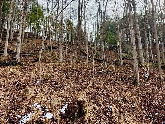 4th image of 0 Sugar Creek Rd