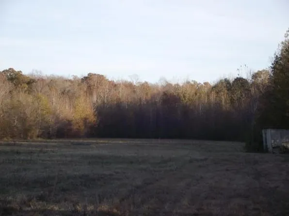 959 Limon Gauge Rd, Bethel Springs, TN 38315