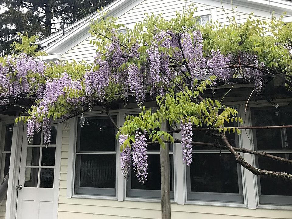 2nd image of 56 College St