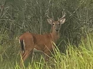 348 Appaloosa St, Palm Bay, FL 32909