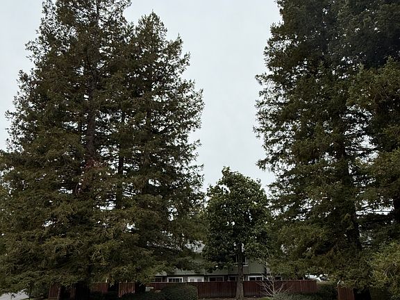 View outside the rear patio.