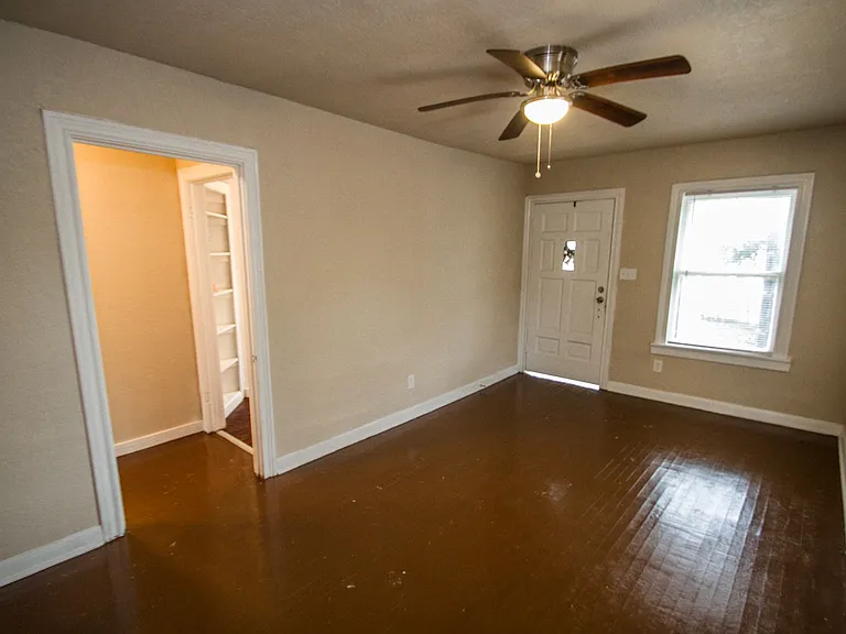 932 Poinsettia — Photo 18