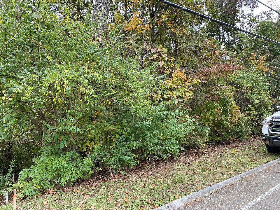 2nd image of 0 Bell Campground Rd