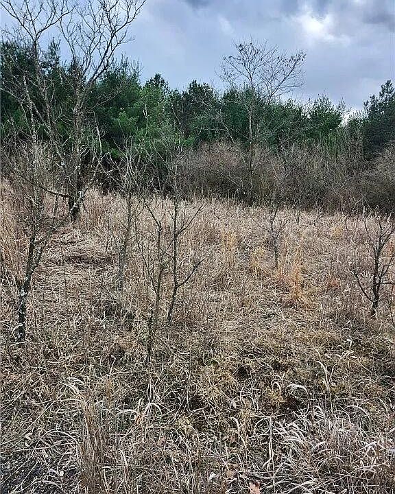 1st image of 0 Saint Lawrence Rd