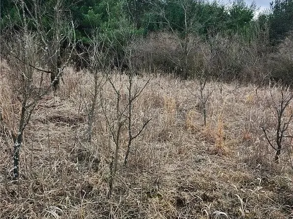 0 Saint Lawrence Rd, Coalport, PA 16627