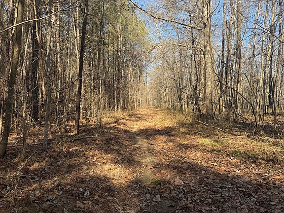 3rd image of Happy Hollow Rd