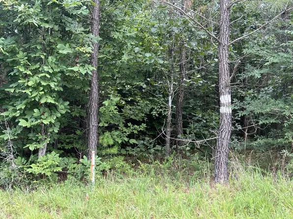 Brickhouse Rd, Randolph, VA 23962